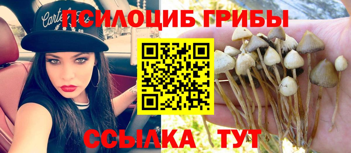 Галлюциногенные грибы Psilocybe  Псилоцибиновые грибы Magic Shrooms  Вход с VPN  Таганрог 